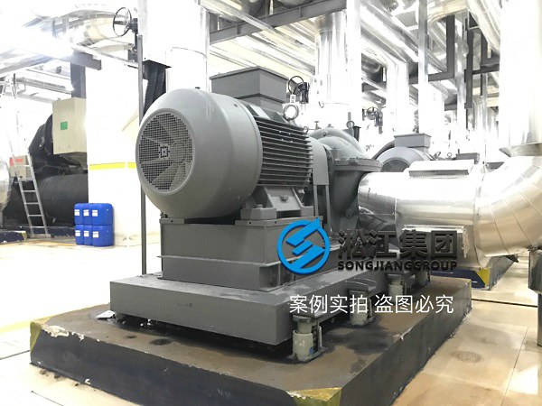 12 SHA-L-800弹簧减振器 (8).jpg